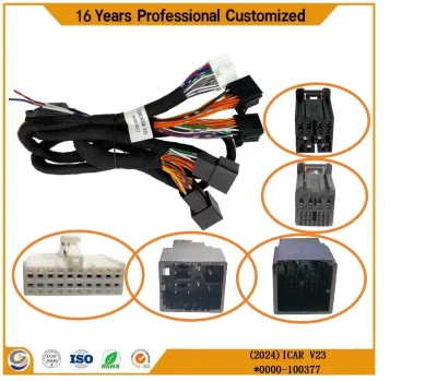 DSP Amplifier Wire Harness for Electric Vehicles