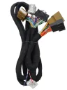 DSP wire harness for 2015-2020 Ford Mustang with AVSS 1.25mm² cables