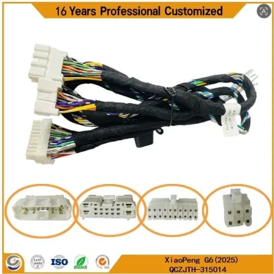 DSP Amplifier Wire Harness for Xiaopeng G6 (2025) | AVSS